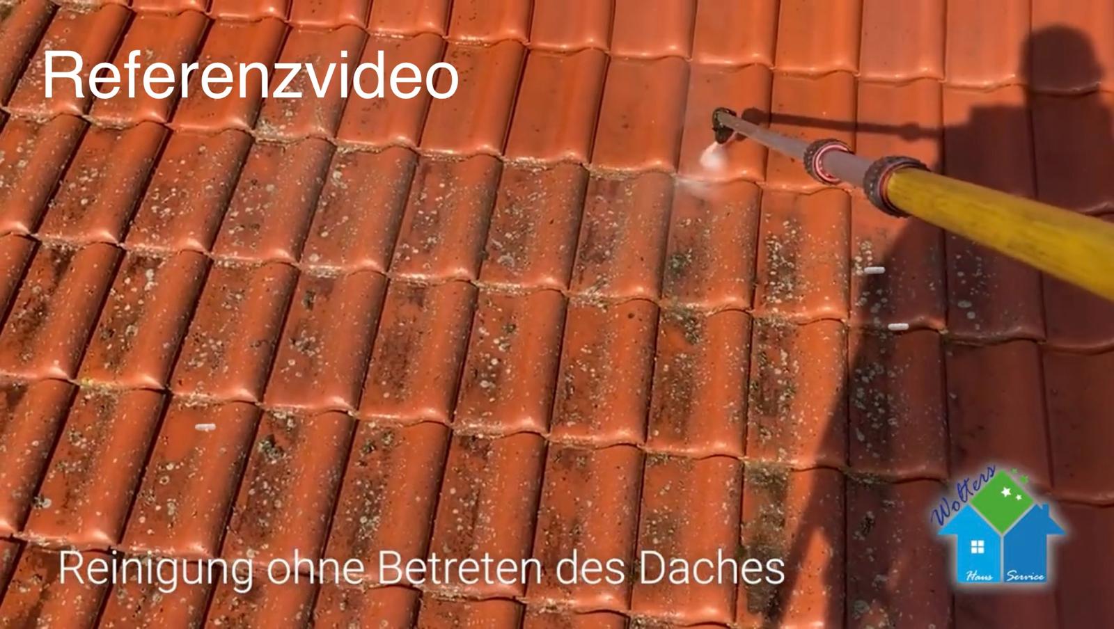 Video Vorschau: Flechten professionell entfernen